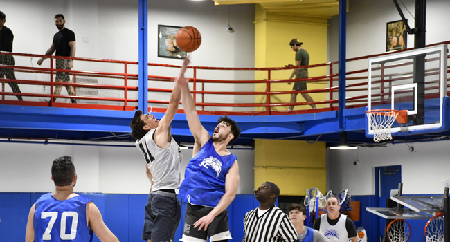 Adult Basketball Leagues