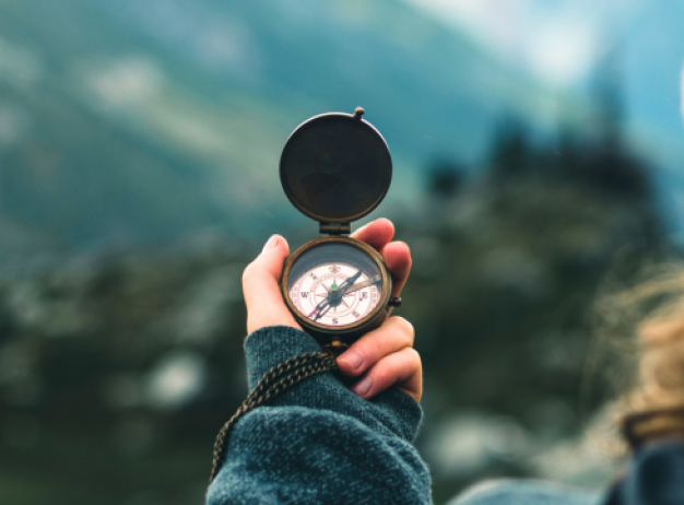 Navigating the New Website