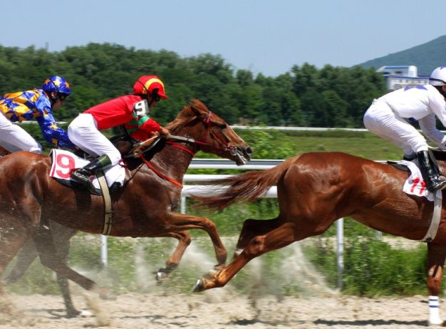 Singles Café V55: Off to the Races